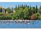 A vendre hôtel bureau proche plages en Camargue
