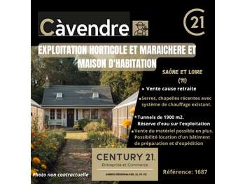 Vente exploitation horticole et maraichère dept 71