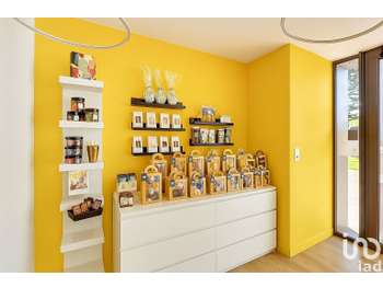 Vente pâtisserie chocolaterie à Haute-Goulaine