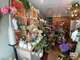 Vente FDC fleuriste à Lorient centre