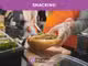 Vente murs et fonds laverie 75018 Paris Pigalle