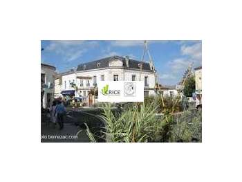 Vente supérette en centre ville Charente Maritime