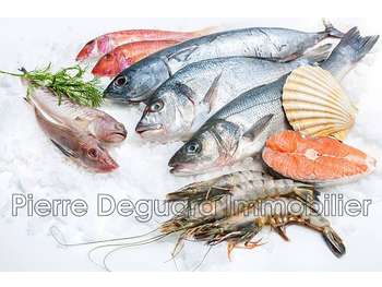 Vente poissonnerie rénovée à Montpellier centre