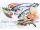 Vente poissonnerie rénovée à Montpellier centre