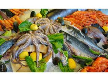 Vente poissonnerie au coeur de Montpellier