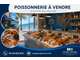 Vente poissonnerie en station balnéaire 66