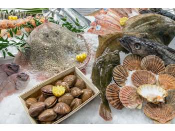 Vente FDC poissonnerie et produits de la mer 22