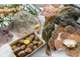 Vente FDC poissonnerie et produits de la mer 22