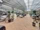 Fonds + murs jardinerie sous enseigne à Dampierre