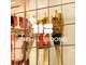 Vente FDC prêt à porter féminin à Deauville