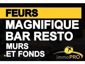 Vend très beaux bar restaurant à Feurs centre