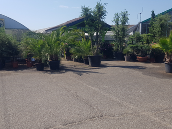 Vente sociétés jardinerie et pépinière dans le 47