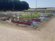 Vente sociétés jardinerie et pépinière dans le 47