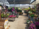 Vente sociétés jardinerie et pépinière dans le 47