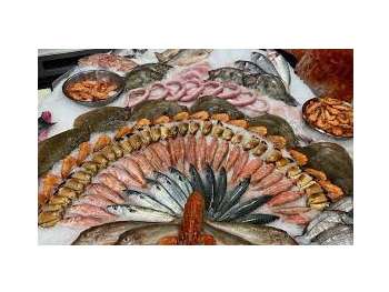 Vente belle poissonnerie secteur Nantais