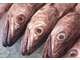 Vente poissonnerie restaurant en bord de mer 66