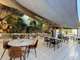 Vente restaurant fort potentiel clé en main à Agde