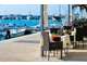 RESTAURANT SAISONNIER - PORT D'ARGELES