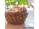Vente restaurant cuisine familiale prox Besançon