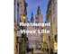 Vente restaurant de 120m² Vieux Lille zone resto