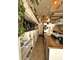 Vente fonds restaurant Coffee Shop 75011 Paris