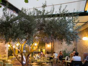 Vente brasserie Licence III secteur Conflent dept