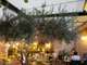 Vente brasserie Licence III secteur Conflent dept