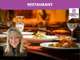 Cède restaurant pizzeria 40 couverts Villeurbanne