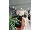 Vente FDC et murs salon de coiffure mixte dept 47