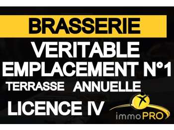 AV superbe brasserie top emplacement à Lyon centre