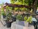 Cède restaurant rénové four à pizza neuf Aspremont