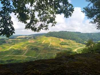 Vente bar en village dynamique du Jura