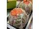 Vente boucherie charcuterie en Côtes d'Armor