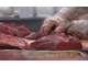 A céder cause retraite  BOUCHERIE • CHARCUTERIE