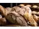 Vente boulangerie pâtisserie