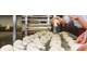 Boulangerie pâtisserie à saisir en Normandie