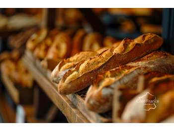 Vente boulangerie pâtisserie sandwicherie Cambrai