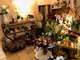 🌸 À vendre boutique de fleurs & décoration (13)