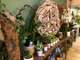 🌸 À vendre boutique de fleurs & décoration (13)