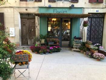 🌸 À vendre boutique de fleurs & décoration (13)