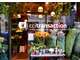 AV magasin fleurs en centre ville dynamique Eure