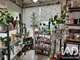Vente FDC fleuriste au coeur de Grand-Couronne