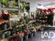 Vente FDC fleuriste à Grigny-sur-Rhône
