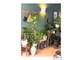 Vente FDC fleuriste quartier prisé de Costebelle