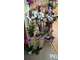 Vente FDC fleuriste à Moirans en Montagne centre