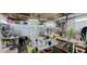 A vendre FDC boutique de fleurs rénovée Tours Nord