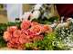 Vente FDC Fleuriste emplacement stratégique Nantes