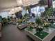 Cession magasin de fleurs leader sur son secteur