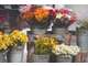 BOUTIQUE DE FLEURS