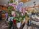 Vente fonds fleuriste à Reims Clinique des Bleuets